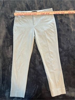 Banana Republic Slim Fit Light Gray Sloan Pants in size 2